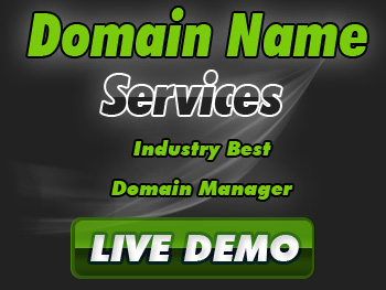 Economical domain name service providers